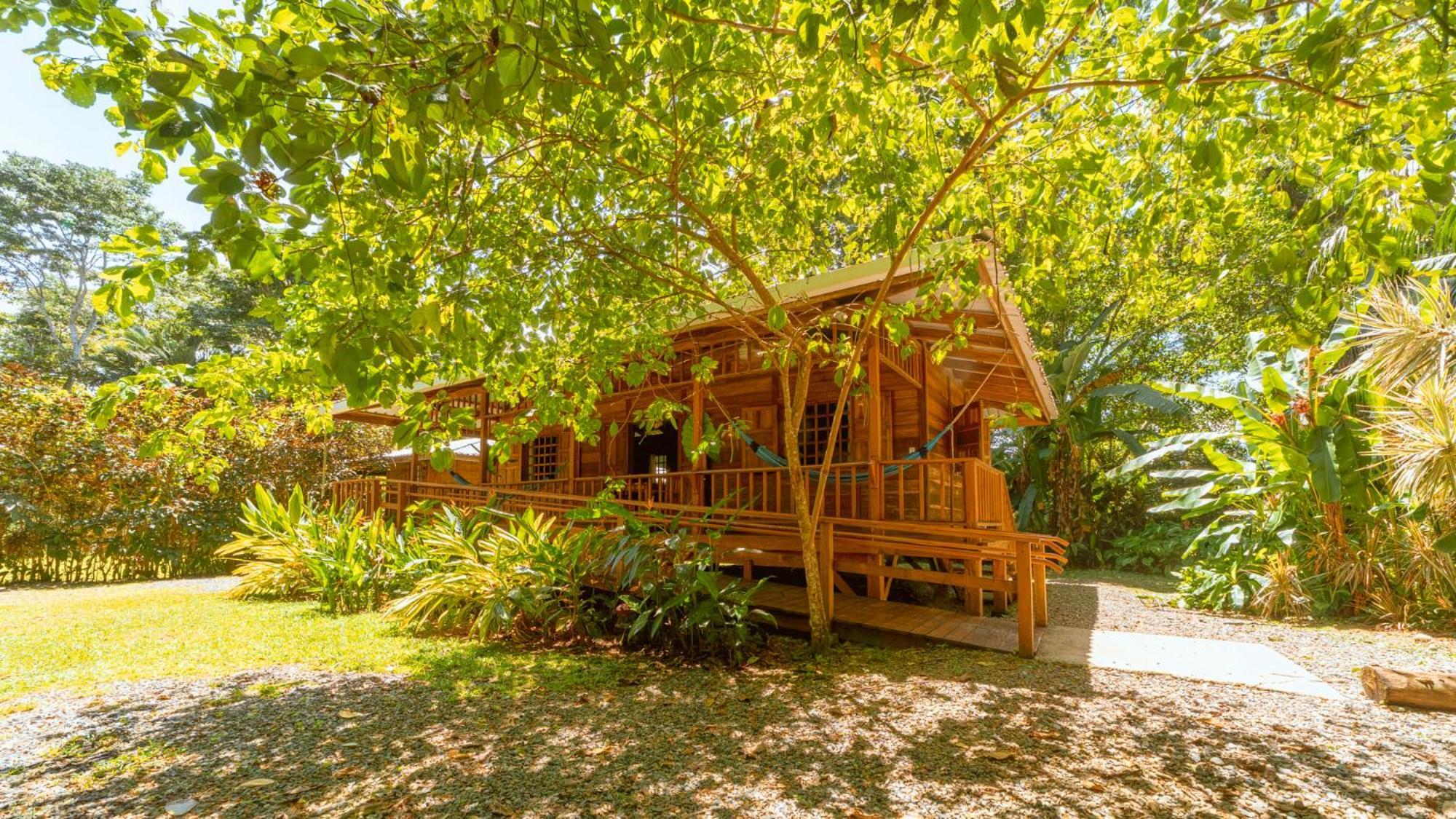 Casa Viva Lodge Puerto Viejo de Talamanca Esterno foto