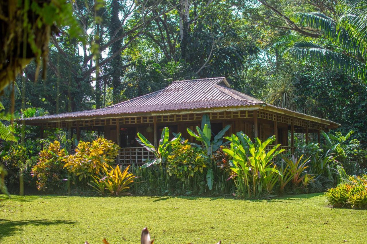 Casa Viva Lodge Puerto Viejo de Talamanca Esterno foto